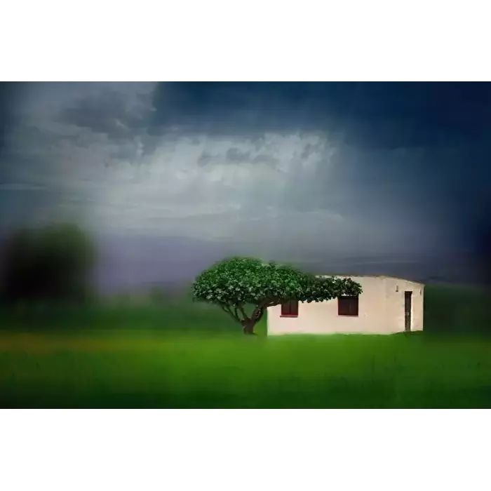 Casita con árbol L00037 · Fotografía artística paisaje natural