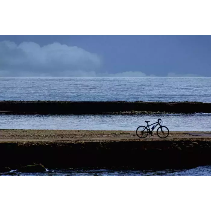 Bicicleta F00559 · Fotografía artística paisaje natural · La LLimona