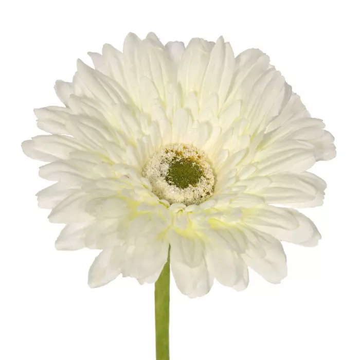 Gerbera artificial blanca 60. Flores artificiales