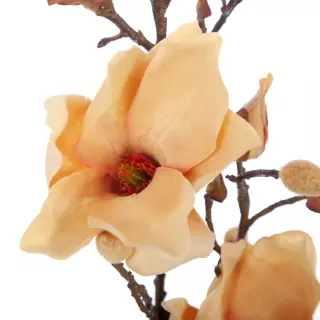 Magnolias artificial beige 80. Flores artificiales